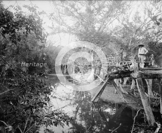 Puente Real near Rascon, between 1880 and 1897. Creator: William H. Jackson.