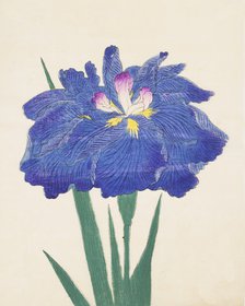 Karako-Asobi, No. 42, 1890, (colour woodblock print)
