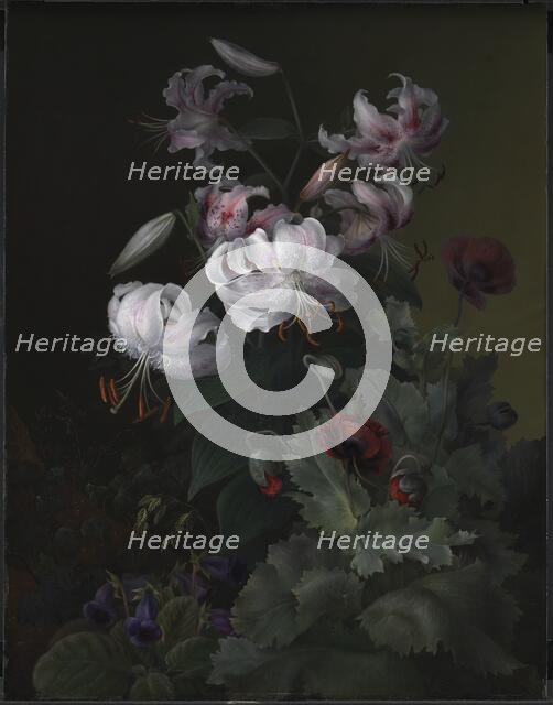 Flowering plants, 1845. Creator: Hermania Neergaard.