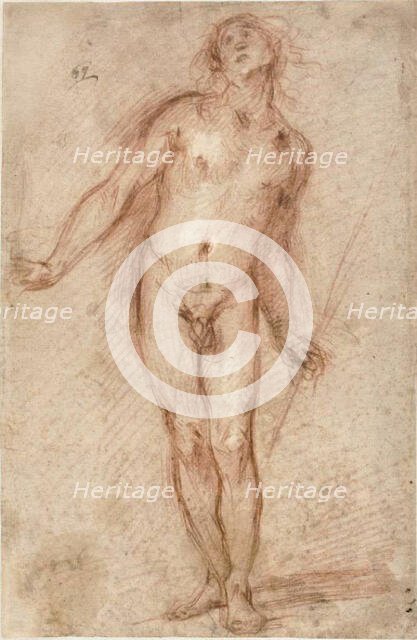 Standing Male Nude, 1637/38. Creator: Cecco Bravo.