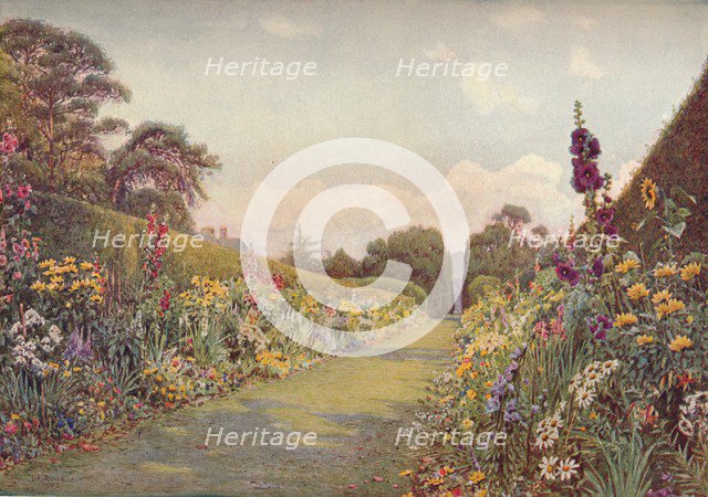 The Long Border, Holme Lacy, (1903). Creator: Ernest Arthur Rowe.