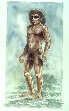 Boxgrove Man, Prehistoric, (1990-2010). Artist: Peter Dunn.