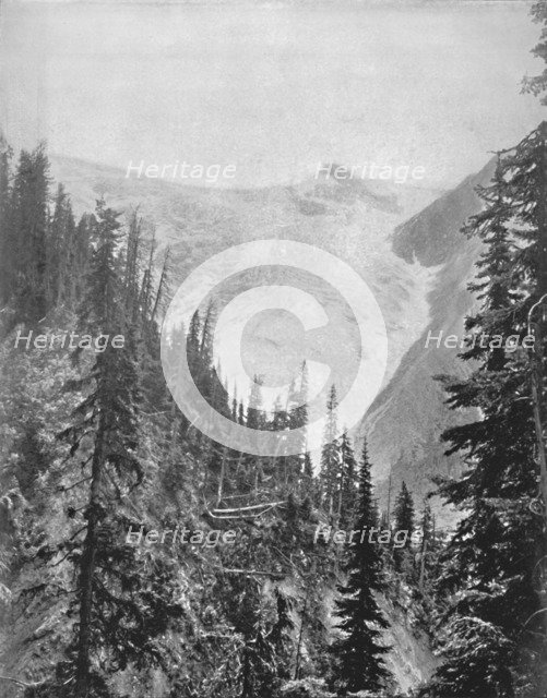 'The Illicilliwaet Glacier', 19th century. Artist: Unknown.