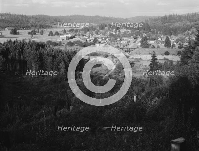 Looking down on western Washington...,Tenino, Thurston County, Western Washington, 1939. Creator: Dorothea Lange.