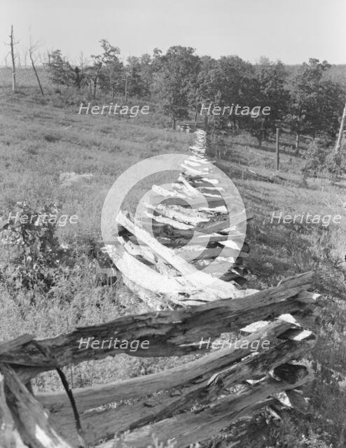 Split-log fence, north central Arkansas, along U.S. 62, 1938. Creator: Dorothea Lange.
