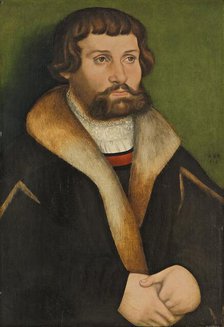 Portrait of a Bearded Man, 1534. Creator: Hans Cranach.