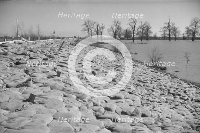 The Bessie Levee augmented with sand bags during the 1937 flood near Tiptonville, Tennessee, 1937. Creator: Walker Evans.