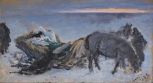 Gertruda Komorowska in the Sleigh, 1883. Creator: Leon Wyczolkowski.