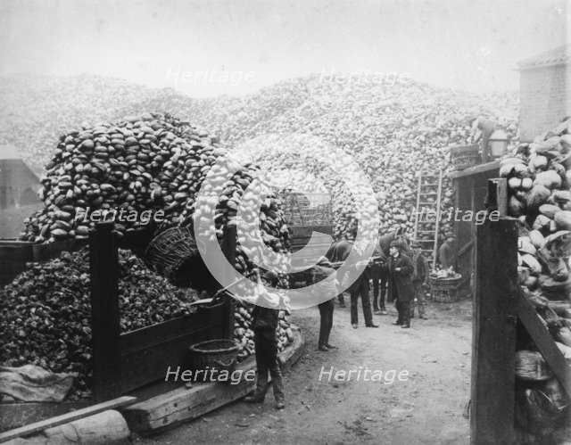 Coconut fibre works, Millwall, London, 1885. Artist: Unknown