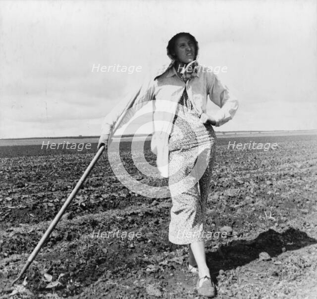 Wife of Texas tenant farmer, 1937. Creator: Dorothea Lange.
