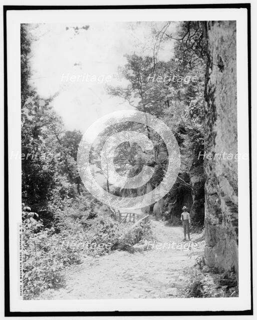 A mountain road, Sapphire, N.C., (1902?). Creator: William H. Jackson.