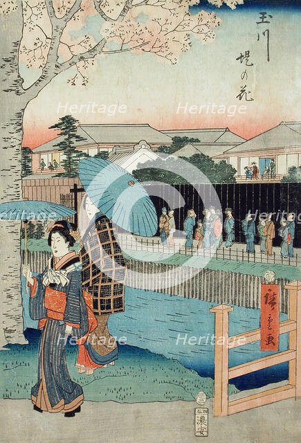 Flowers Beside the Tamagawa-Zutsumi (image 1 of 3), c1856. Creator: Ando Hiroshige.