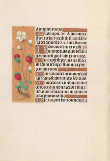 Hours of Queen Isabella the Catholic, Queen of Spain: Fol. 102v, c. 1500. Creator: Master of the First Prayerbook of Maximillian (Flemish, c. 1444-1519); Associates, and.