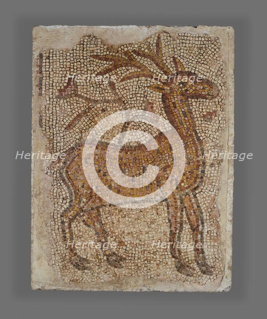 Mosaic Fragment with Stag, 5th-6th century. Creator: Unknown.