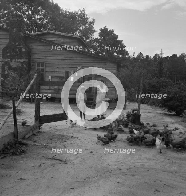 Noontime chores: feeding chickens..., Granville County, North Carolina, 1939. Creator: Dorothea Lange.