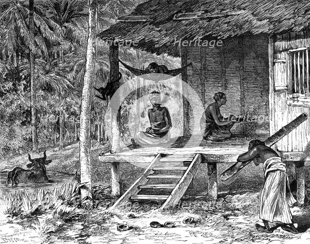 Malaysian hut, 19th century. Artist: Dosso