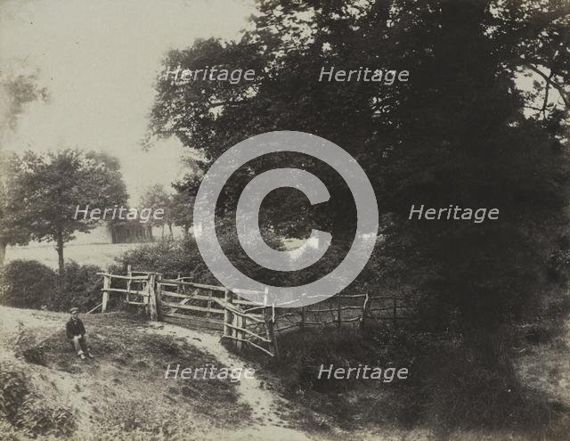 Green Meadows, 1854. Creator: George Shadbolt (British, 1819-1901); Photographic Exchange Club.