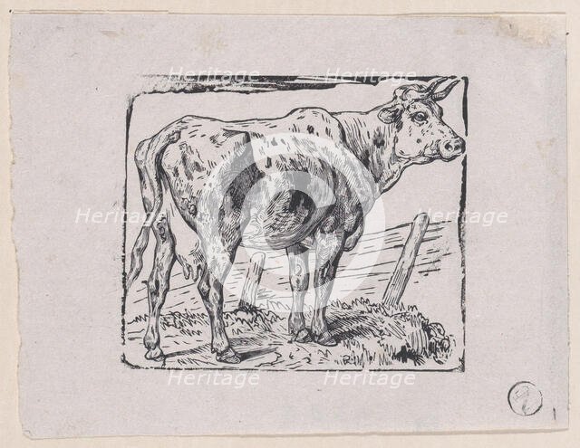 A Cow, ca. 1853. Creator: Charles Emile Jacque.
