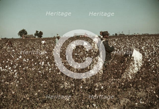 Day laborers picking cotton near Clarksdale, Miss., 1939. Creator: Marion Post Wolcott.