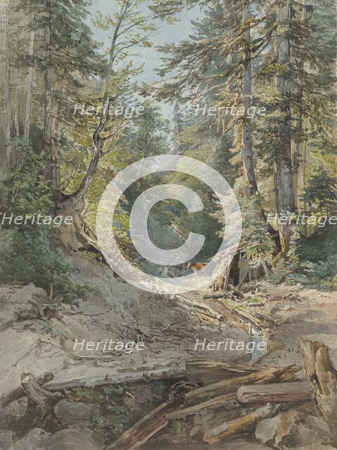 Inside the forest, 1842. Creator: Joseph Hoger.