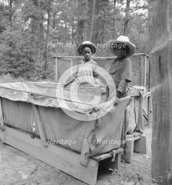 Grandchildren of tobacco sharecropper down at barns, Wake County, North Carolina, 1939. Creator: Dorothea Lange.