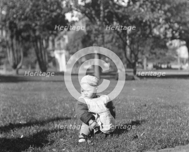 A native son, Chinatown, San Francisco, between 1896 and 1906. Creator: Arnold Genthe.