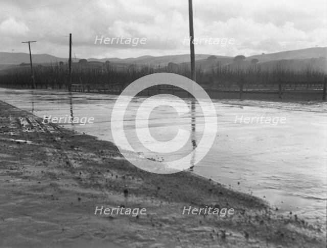 U.S. 101 near San Juan Bautista, California, 1939. Creator: Dorothea Lange.