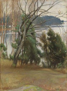 Sallow in Autumn, 1907. Creator: Pekka Halonen.