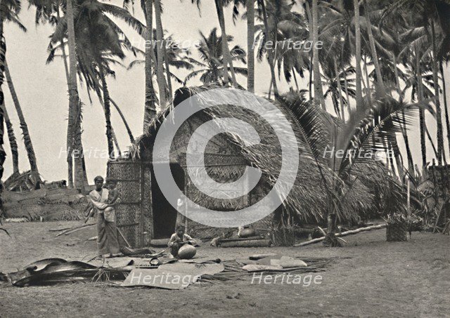 'Kokospalmen und Einngeborenenhutte aus Kokosblattern (An den Stammen links, angebundene Blatter geg Artist: Unknown.