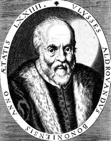 Ulisse Aldrovandi (1522-1605), Italian botanist, naturalist and physician, late 16th century. Artist: Unknown