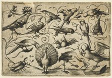 Ten birds on small foliage tendrils with a stork tying a tendril around a pelican’s leg..., 1540.  Creator: Virgil Solis.