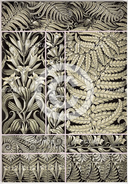 The plant ornaments, c. 1890.