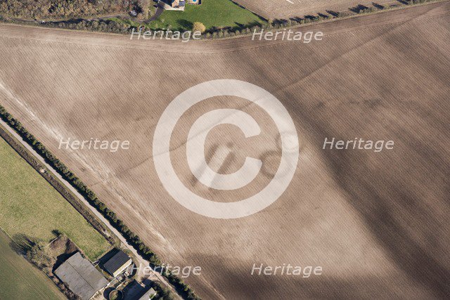 Soil marks on Houghton Down, near Danebury, Hampshire, 2018. Creator: Historic England Staff Photographer.