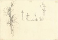 Devastated Trees [verso], 1918. Creator: John Singer Sargent.
