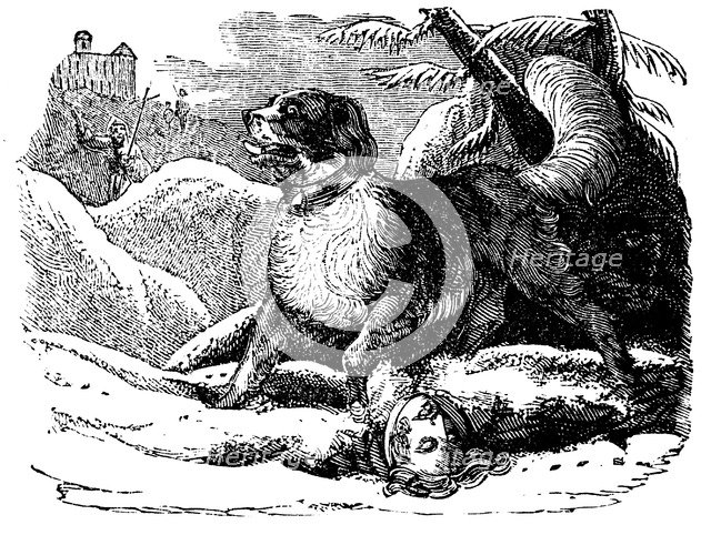 Dog from the Hospice of St Bernard finding a traveller in the snow, c1840. Artist: Unknown