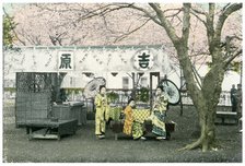 Lunch stand in a public park, Japan, 1904. Artist: Unknown