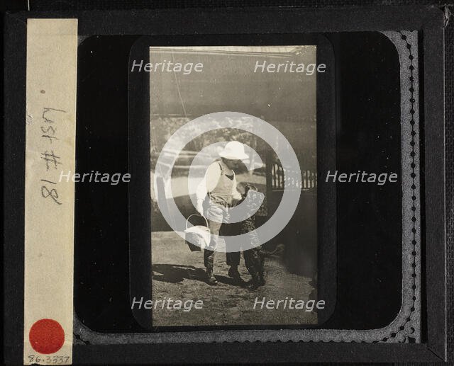 Untitled (Niece Elizabeth with "Inky" at Oaklawn), c. 1903. Creator: Alfred Stieglitz.