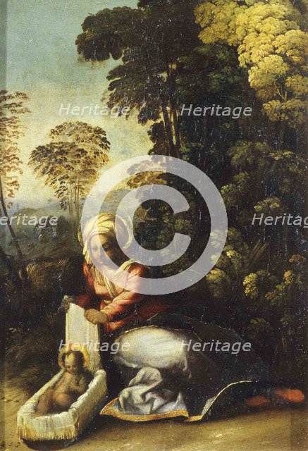 Madonna with Child (La Zingarella), c. 1513. Artist: Dossi, Dosso (ca. 1486-1542)