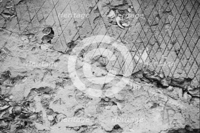 Ruins of supposed Spanish mission, Georgia, 1935. Creator: Walker Evans.