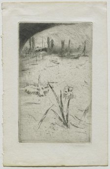 Swan and Iris, 1883. Creator: James McNeill Whistler (American, 1834-1903).