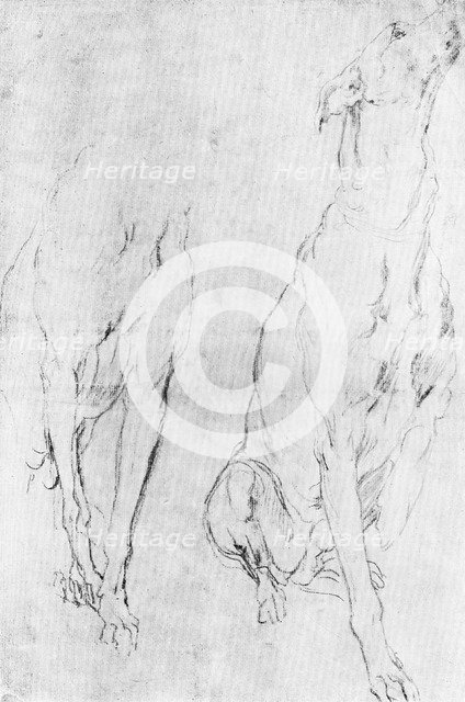 Study for the greyhound in the portrait of the Duke of Richmond, c1634 (1900). Artist: Unknown