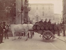 Carro con buoi, Perugia, 1880s. Creator: James Anderson.
