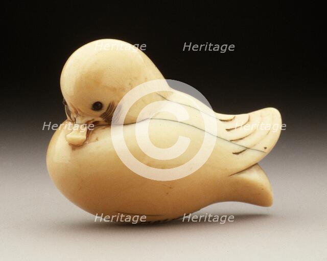 Simplified Mandarin Duck, 19th century. Creator: Unknown.