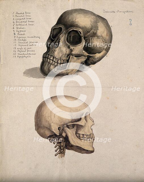 A skull: two figures, 1880. Creator: Jeannette Mongredien.