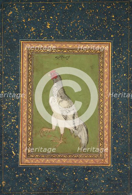 Rooster, c. 1620. Creator: Unknown.