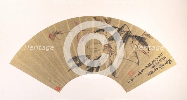 Herbaceous Peony. Creator: Hu Yuan.