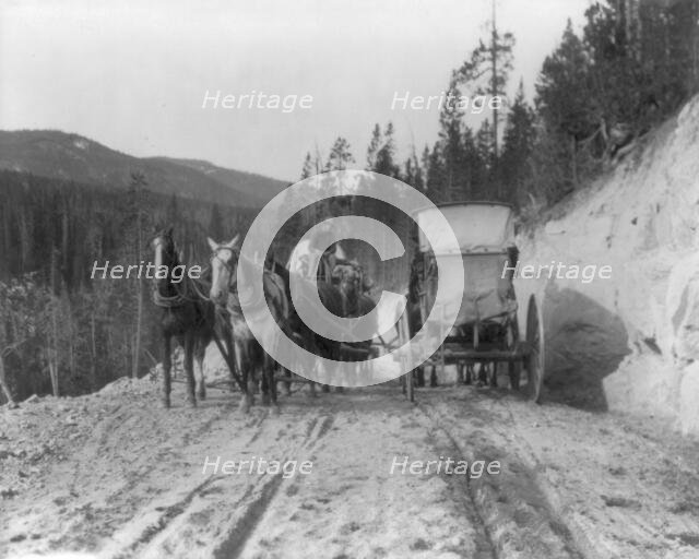 Two stagecoaches passing on mountain road, Yellowstone National Park, Wyoming, 1903. Creator: Frances Benjamin Johnston.