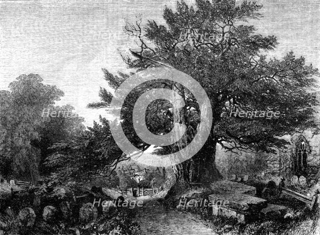 "A Country Churchyard" - painted by Samuel Read - from the Exhibition of the Society of British Arti Creator: Mason Jackson.