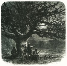 'The Watch Oak', c1870.