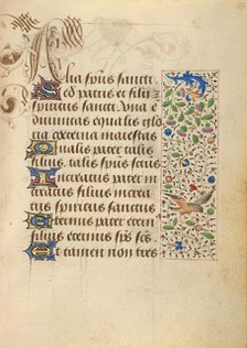 Decorated Text Page; Prayer Book of Charles the Bold, 1469. Creator: Unknown.